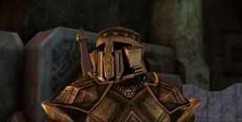 The Dwarven Nobleman