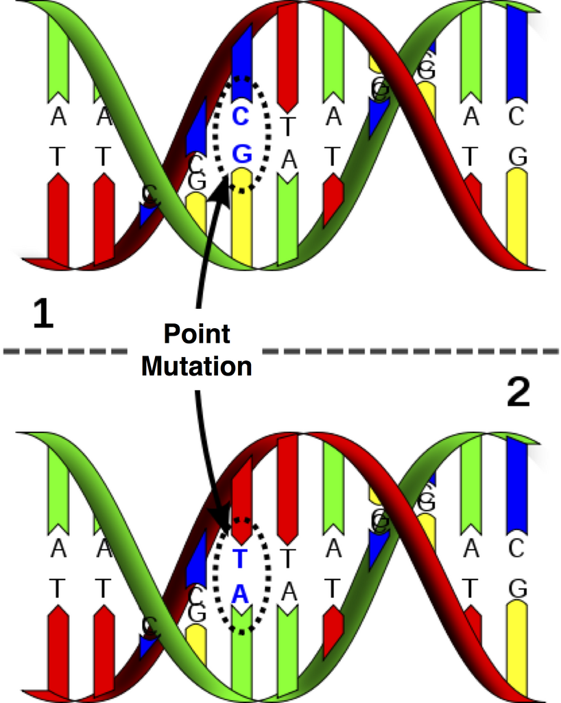 Image Point Mutation png Park Pedia Jurassic Park Dinosaurs image-point-mutation-png-park-pedia-jurassic-park-dinosaurs