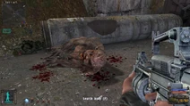Chimerasoc