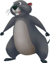Gopher KHII