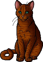 Maplestar.leader