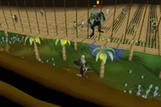 Demon battle