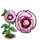 Desert Rose-icon