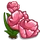 Pink Tulip-icon