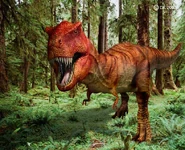 Tyrannosaurus Rex1