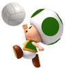 GreenToadMASV