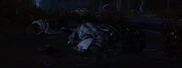 Carley's death