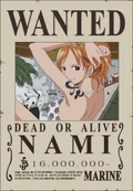 Nami's Wanted Poster