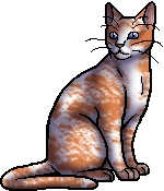 Nettlespot.warrior