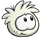 White Puffle Happy NICE