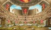 BGSm-Arena