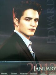 Breaking-dawn-part-1-edward-cullen-23749147-768-1024-1-