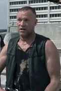 Merle