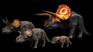 Dinosaurs Decoded-04