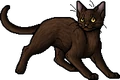 Nutwhisker.apprentice