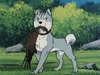 Vlcsnap-2012-06-25-22h25m48s240