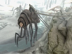 Silt Strider