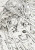 Gin despair2