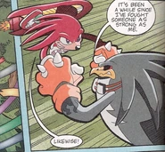 Storm VS Knuckles