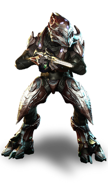 Storm Zealot.png
