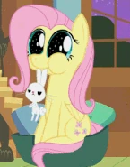 DAWFLUTTERSHY