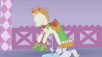 Applejack's dress on display S1E14
