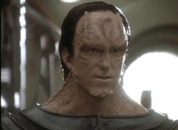 GulToran