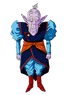 Elder Kai