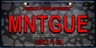 AMLP MNTGUE