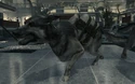 Dog strapped with C4 MW3