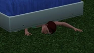 Death by brute force