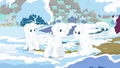 Ponies covered in snow S03E13.png