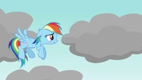Rainbow Dash nervous S03E13