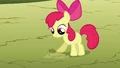 Apple Bloom helps plant seeds S03E13.png