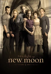 New-moon-twilight-series-5141864-600-873