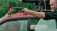 Merle about to enter mexican car