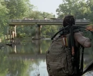 Yellowjacketcreekanddaryl