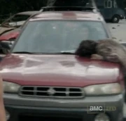 Mexicanscar