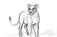 Nala concept art