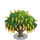Common Laburnum Tree-icon