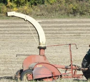 GehlGreenchopper2010