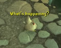 ZanarisChicken