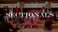Sectionals01
