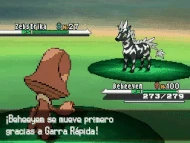 Gran Ojo NB