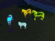 Illegaldeathsghosthorse