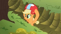 Applejack putting helmet on S02E03