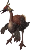 Epiornis-ccvii