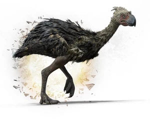 Dino7