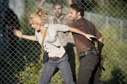 TWD GP 311 0919 0399
