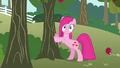 Pinkie Pie cute reaction S3E13.png